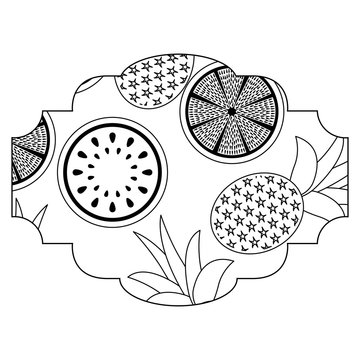 frame with fruits pattern vector illustration design