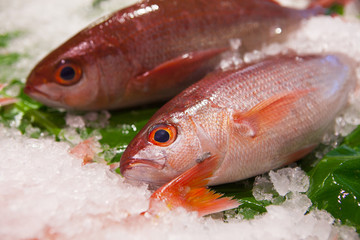 Taiwan's famous aquatic market, on the lead aquatic products, eating seafood