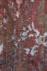 rusted metal plate texture