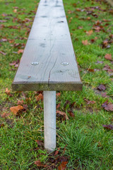 wet wooden bench after rain
