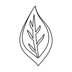 Leaf eco symbol cartoon