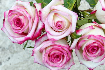 A bunch of pink Roses