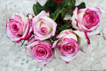 A bunch of pink Roses
