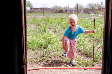 A happy little boy came to the barn with chickens. Sunny summer day.