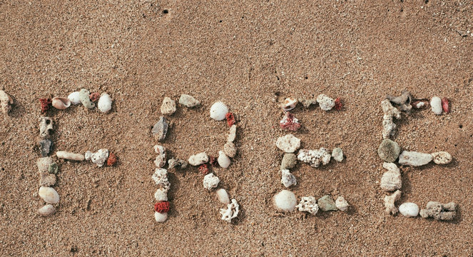 Word FREE made from sea shells on sandy summer beach. Concept background for sales