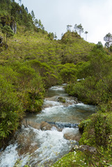Fototapeta na wymiar River between mountains and cloud forest, pure water, fresh air and pure in Huehuetenango, Guatemala, Central America.