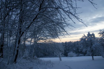 Winter Eve