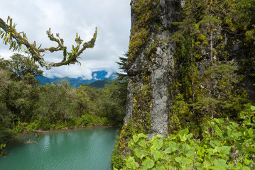 Mystic forest lagoon Magdalena in Huehuetenango, Guatemala, 