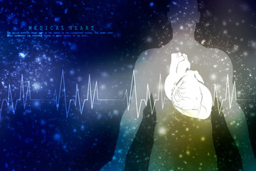 2d illustration  Anatomy of Human Heart 