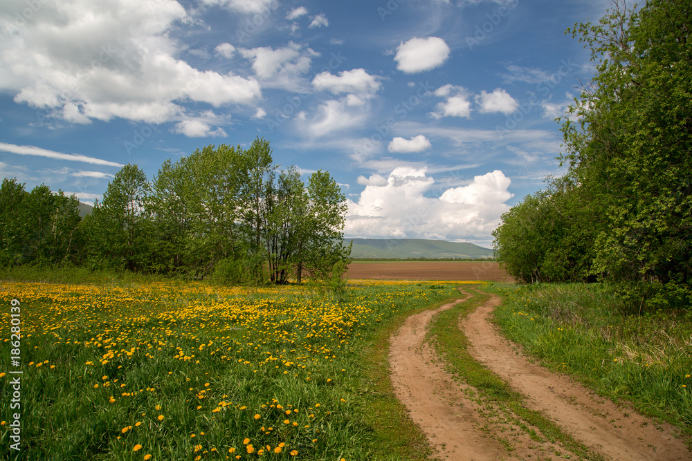 Wall mural Rural landscape