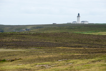 Fototapeta na wymiar ouessant côte nord ouest avec son phare