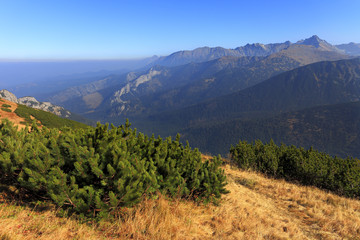 Poland, Tatra Mountains, Zakopane – Kondracka Przelecz Pass - in the back Swinica, Granaty, Koscielec, Kasprowy Wierch peaks plus Konratowa and Goryczkowa Valleys
