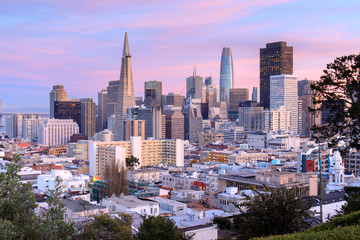 San Francisco Skyline in roze en blauwe luchten. Ina Coolbrith Park, San Francisco, Californië, VS.