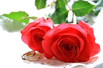 Valentine Rose on a table