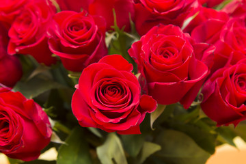 bouquet of red roses, valentine´s day
