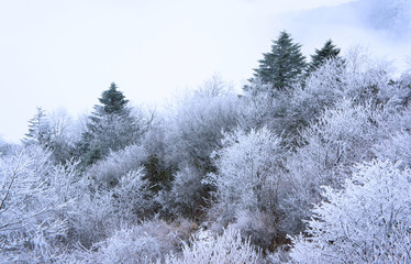 The landscape of Tibetan area in Western China