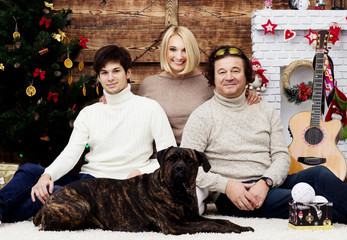 happy laughing family and a dog playing near a Christmas tree