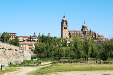 The Roman bridge of Salamanca, Spain 