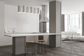 Gray living room interior, bar and sofa side
