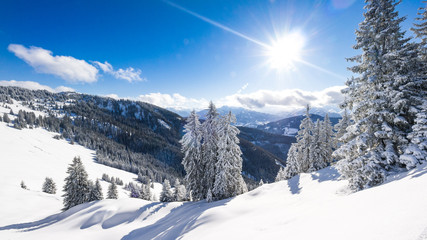 Austrian Alps in Salzburger Land in Winter 