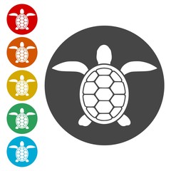 Obraz premium Turtle Icon Flat Graphic Design - Vector Illustration 