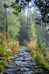 scenic and beautiful tourism trail in the park Slovensky raj, Slovakia