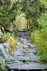 scenic and beautiful tourism trail in the park Slovensky raj, Slovakia