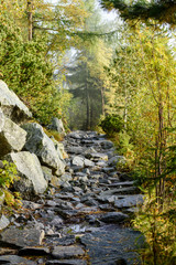 scenic and beautiful tourism trail in the park Slovensky raj, Slovakia