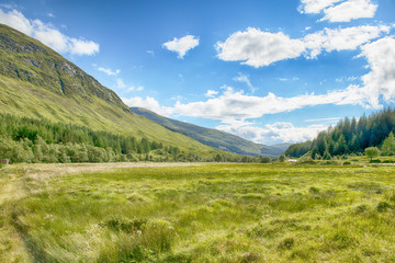 Scottish Landscape 13