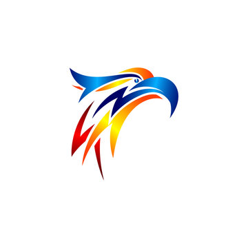animal eagle bird vector logo