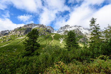 slovakian carpathian mountains in autumn. green hills with tops covered in first snow and white clouds above