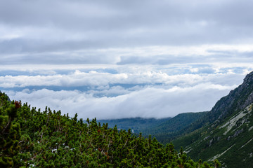slovakian carpathian mountains in autumn. green hills with tops covered in first snow and white clouds above