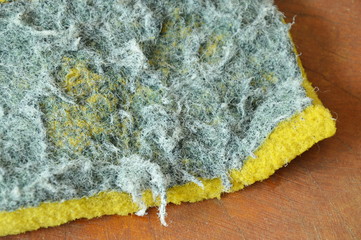 old green and yellow scrub sponge texture and background