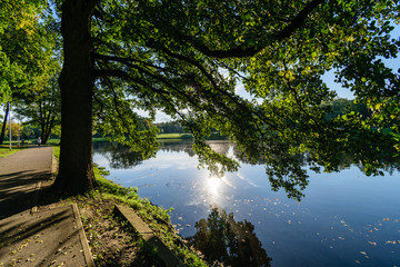 high water level in river Gauja, near Valmiera city in Latvia. summer trees surrounding