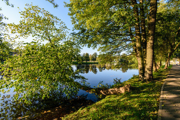 high water level in river Gauja, near Valmiera city in Latvia. summer trees surrounding