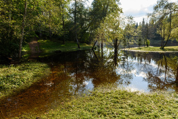 high water level in river Gauja, near Valmiera city in Latvia. summer trees surrounding