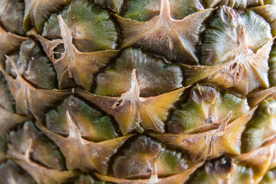 Texture of ripe raw pineapple macro closeup