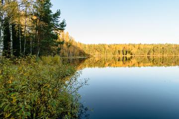 high water level in river Gauja, near Valmiera city in Latvia. summer trees surrounding