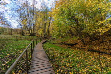Fototapeta na wymiar old wooden boardwalk covered with leaves in ancient forest