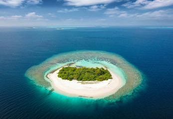 Unbewohnte, tropische Insel mit Korallenriff und Sandstrand auf den Malediven - obrazy, fototapety, plakaty