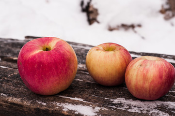 red apples on the snow