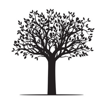Black shape of Tree. Vector Illustration.