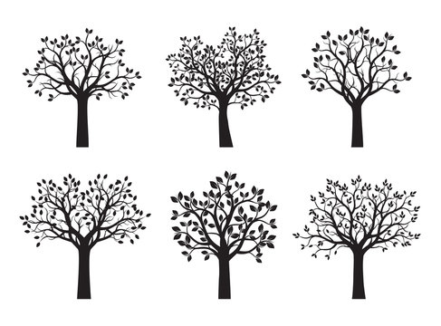 Set of black Trees with Leaves. Vector Illustration.