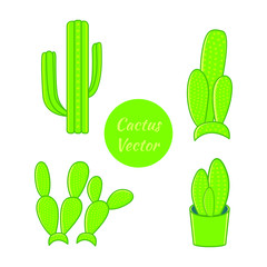 Set of cactus vector illustration. cactus vector illustration.