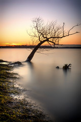 Kraft tanken in der Natur