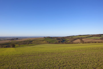 winter hillside landscape © emjay smith