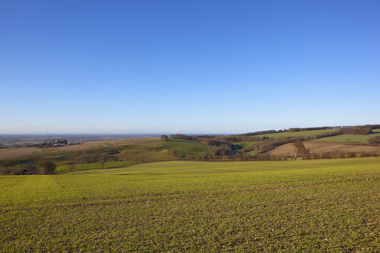 winter hillside landscape