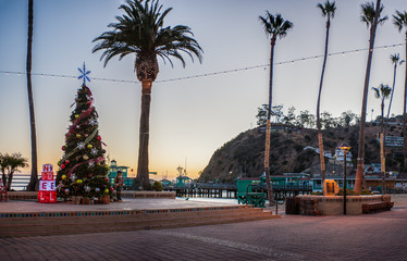 Obraz premium Avalon City Beach with large Christmas tree and lighted palms during holiday season.