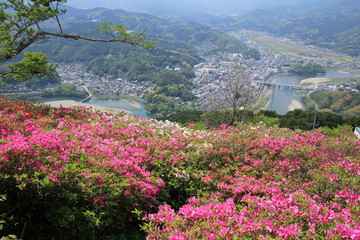 冨士山公園のつつじと街並み