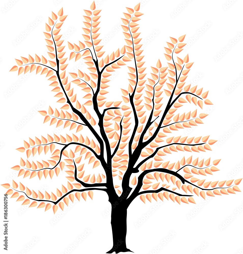 Wall mural vector image of a tree in spring